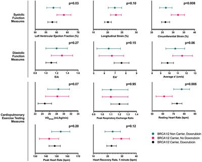 BRCA1/2 Mutations and Cardiovascular Function in Breast Cancer Survivors